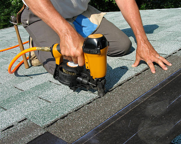 Best Roof Gutter Cleaning  in Park Forest, IL