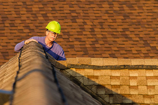 Best Storm Damage Roof Repair  in Park Forest, IL