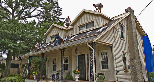 Best Shingle Roofing Installation  in Park Forest, IL