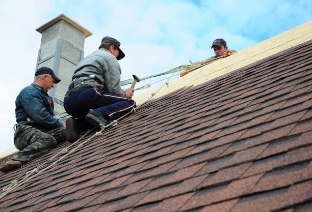 Quick and Trustworthy Emergency Roof Repair Services in Park Forest, IL